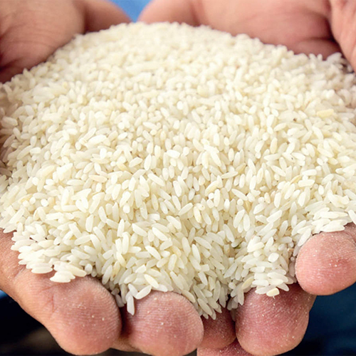 Kolam Rice