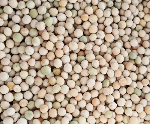 White Pea
